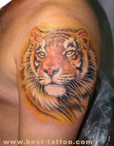 Фото и  значения татуировки Тигр. X_a2ee3b9a
